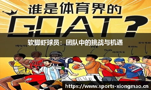 熊猫体育官网